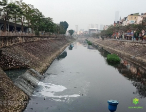 BỊ PHẠT ĐẾN 2 TỶ NẾU VI PHẠM MÔI TRƯỜNG
